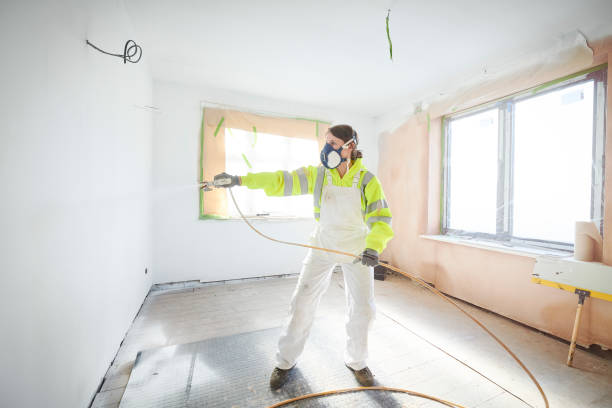 Best Black Mold Removal  in Enterprise, OR